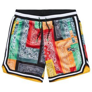 LRG STRICTLY SCRIPT ROOTS MESH SHORTS Bandana Print Large